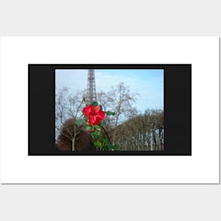 Paris Red Rose at the Eiffel Tower Posters and Art